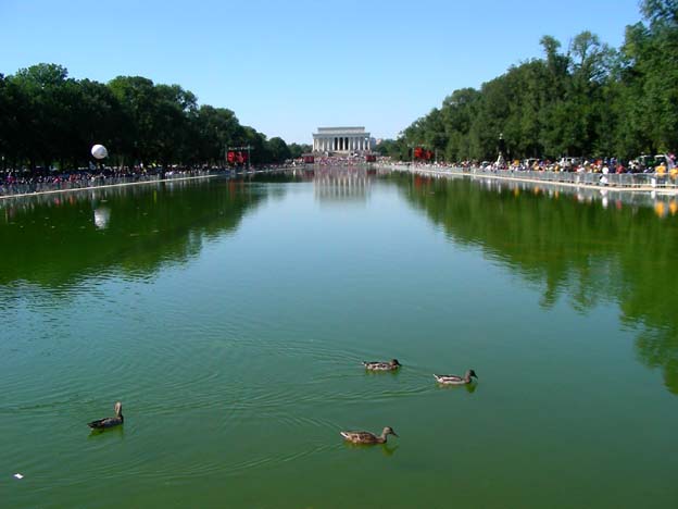 2010-10-02_12-37-45ducks.JPG